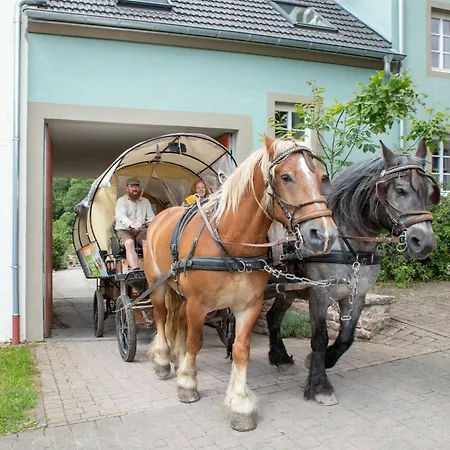 Homestay szállás Nengshof Gartenhaus Wegerich *